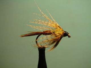 Crystal Mayfly (12)